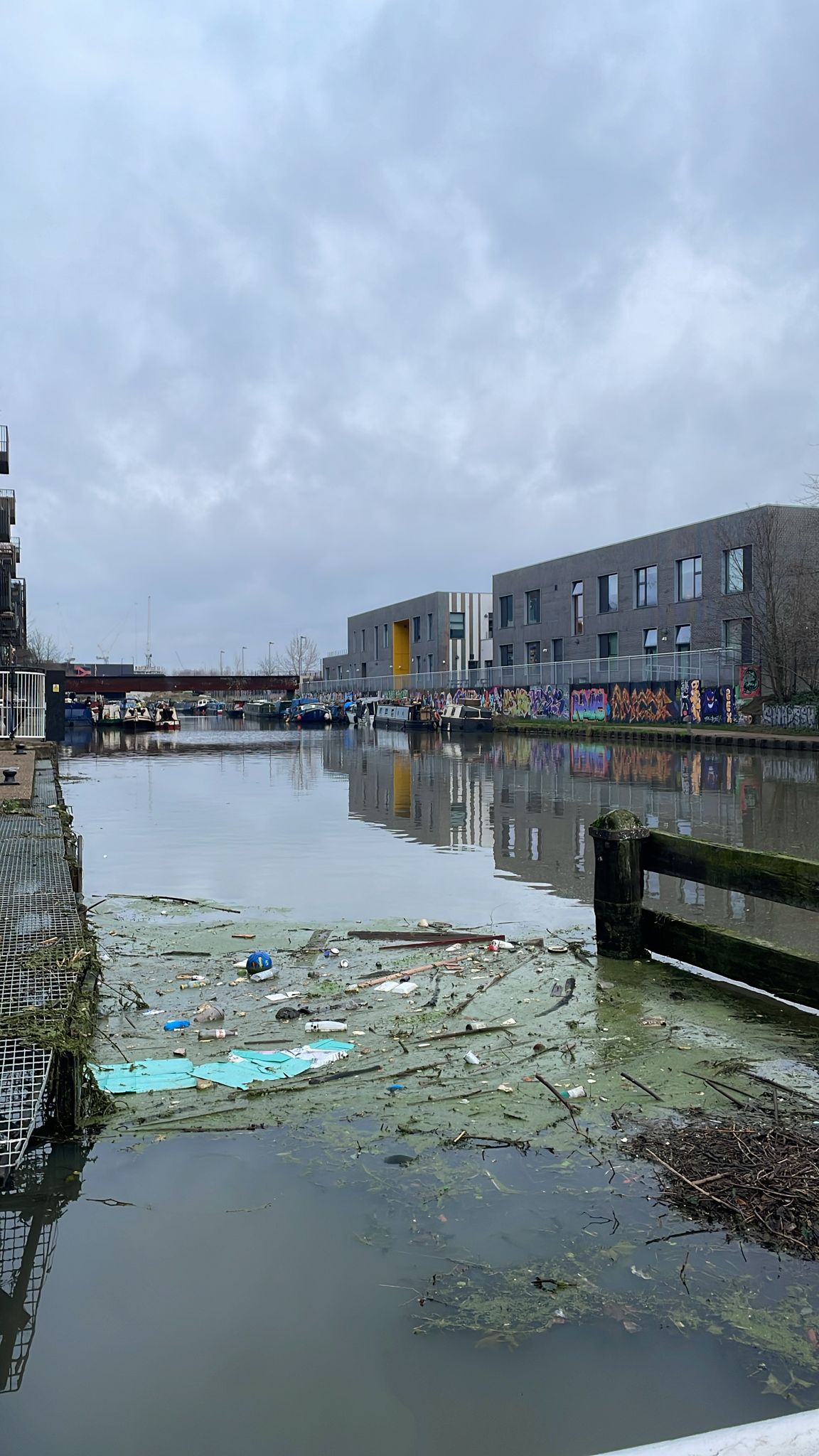 Homes evacuated and dozens led to safety after flooding in east London